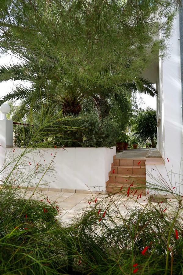 Sunny Garden Studio Otel Lefkoşa Dış mekan fotoğraf