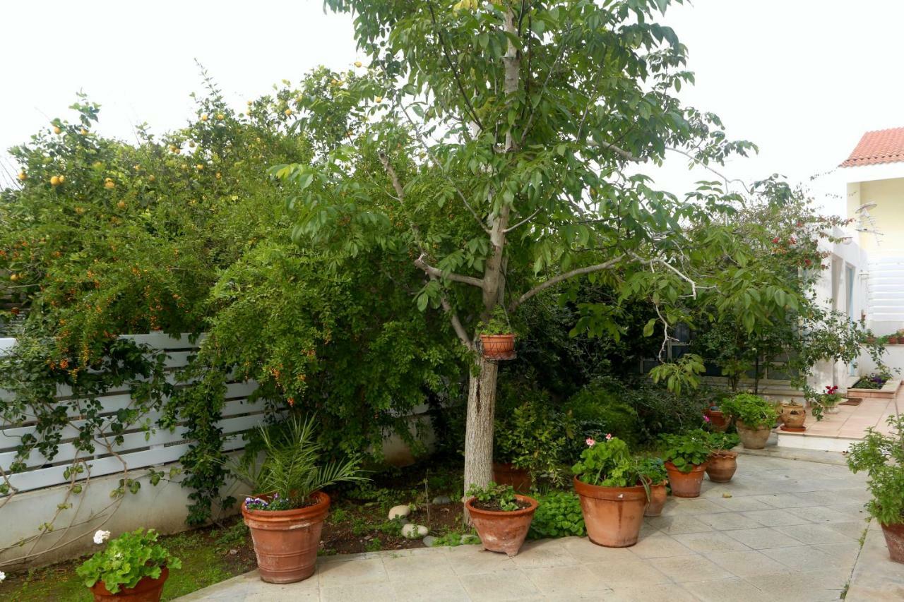 Sunny Garden Studio Otel Lefkoşa Dış mekan fotoğraf