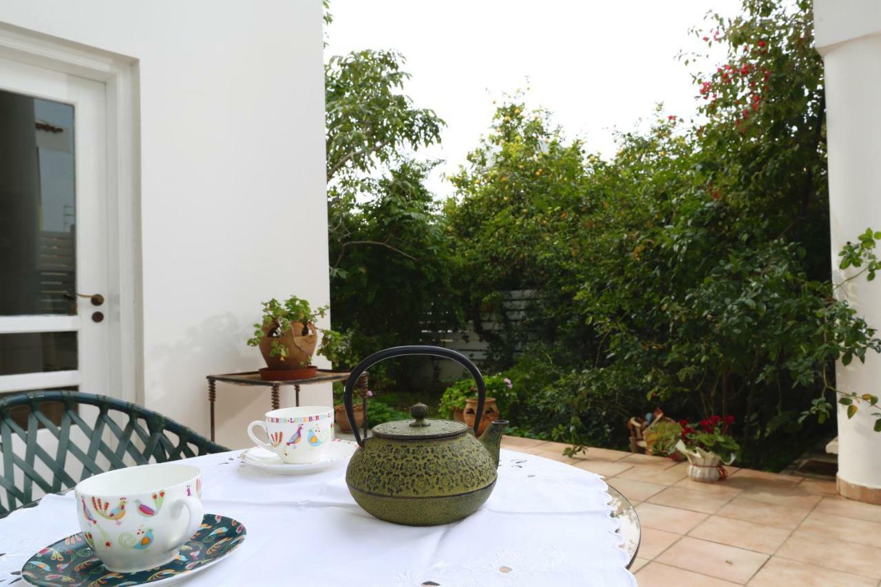 Sunny Garden Studio Otel Lefkoşa Dış mekan fotoğraf