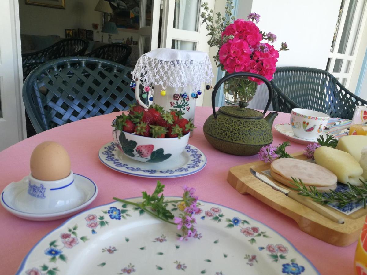 Sunny Garden Studio Otel Lefkoşa Dış mekan fotoğraf
